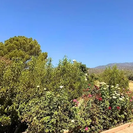 Troodos View Garden House - Trimiklini
